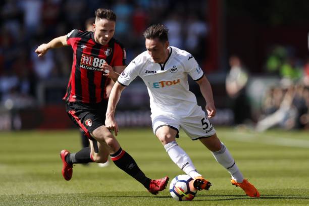 也鼓舞了全 也鼓舞了全