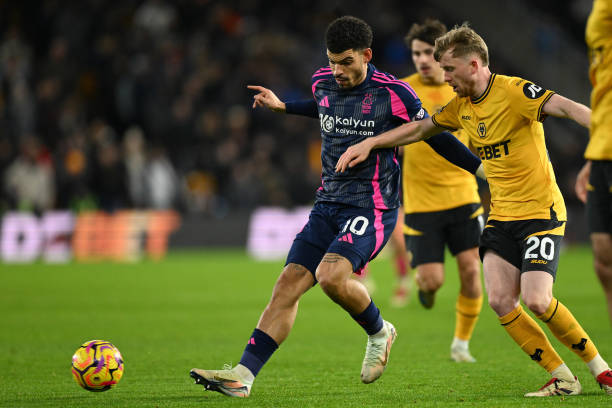 仅是一场普 仅是一场普